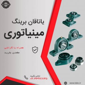 یاتاقان مینیاتوری,یاتاقان