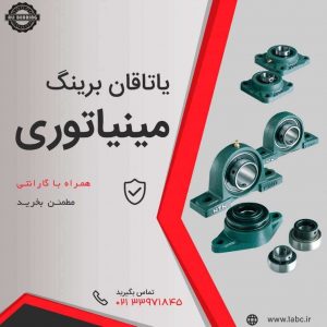یاتاقان مینیاتوری,یاتاقان