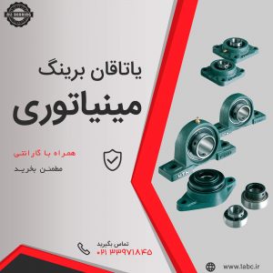 یاتاقان مینیاتوری,یاتاقان